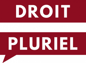 Logo Dp 2019 Transparent