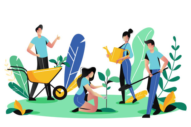 Istockphoto 1133737075 612x612